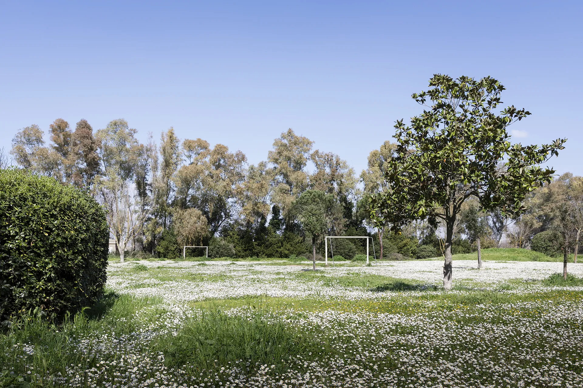 parco roma eur